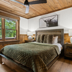 north georgia pet friendly cabins