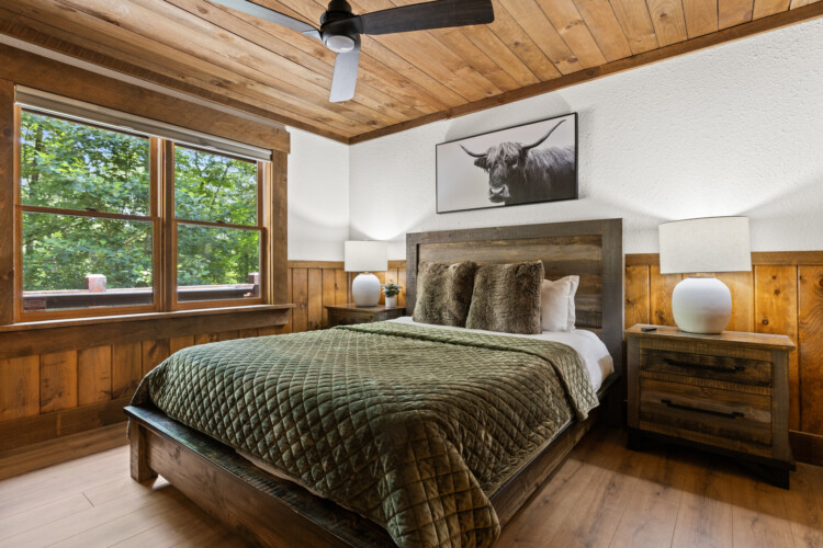 north georgia pet friendly cabins