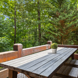 north georgia pet friendly cabins