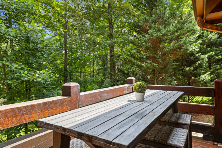 north georgia pet friendly cabins