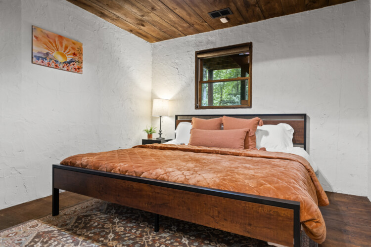 north georgia pet friendly cabins