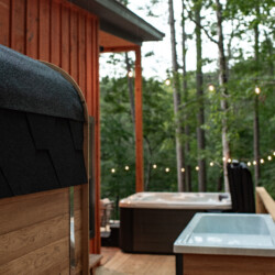 cabins in ellijay