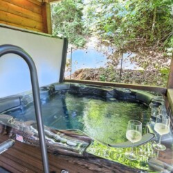 coosawattee river resort cabin rentals
