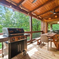 coosawattee river resort cabin rentals