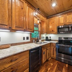 coosawattee river resort cabin rentals
