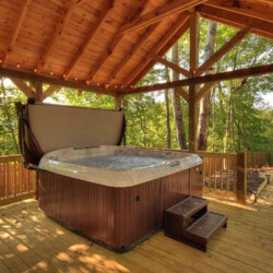 cabin near downtown blue ridge georgia