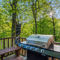 cabin rentals banner elk nc