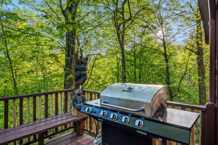 cabin rentals banner elk nc