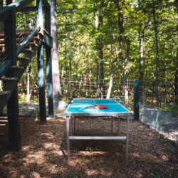 sewanee tn cabin rentals