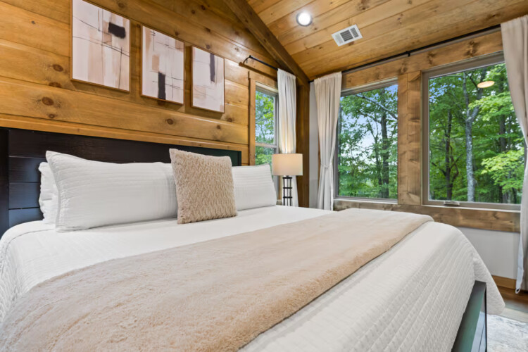 ellijay cabins
