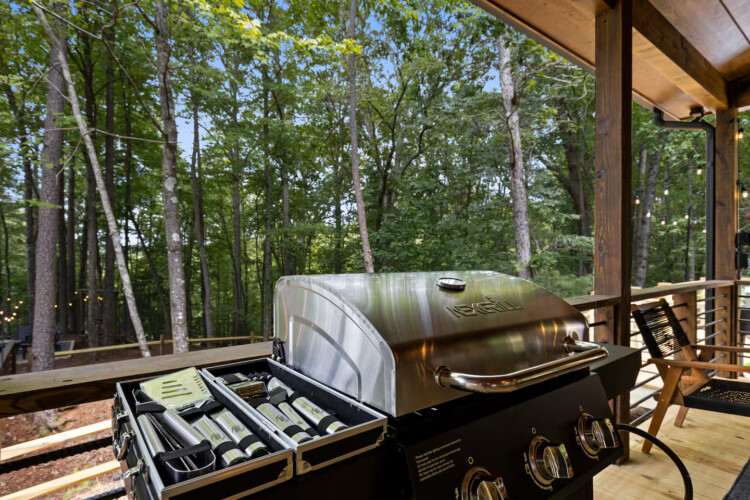 ellijay cabins