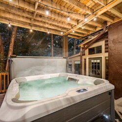 pet friendly cabins in ellijay ga