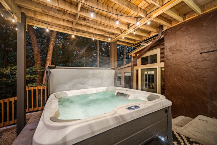 pet friendly cabins in ellijay ga