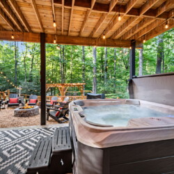 pet friendly cabins in ellijay ga