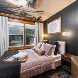 pet friendly cabins in ellijay ga