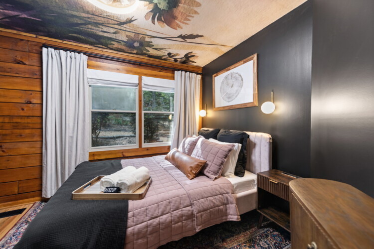 pet friendly cabins in ellijay ga