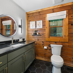 pet friendly cabins in ellijay ga