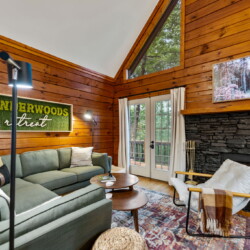 pet friendly cabins in ellijay ga