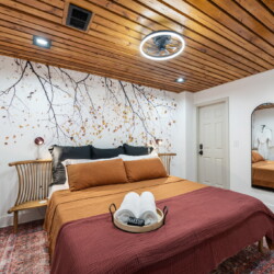 pet friendly cabins in ellijay ga