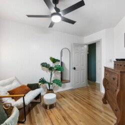 pet friendly cabins in ellijay ga