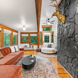 pet friendly cabins in ellijay ga