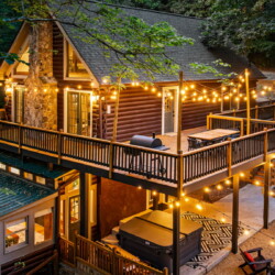 pet friendly cabins in ellijay ga