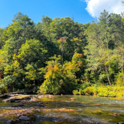 creekside cabin ellijay ga