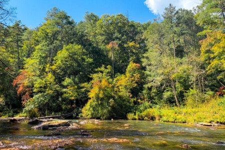 creekside cabin ellijay ga