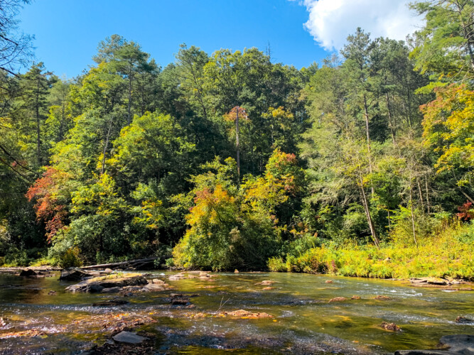 creekside cabin ellijay ga