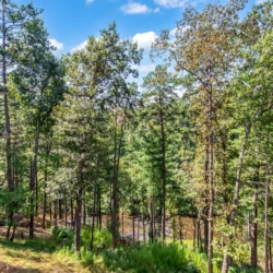 creekside cabin ellijay ga