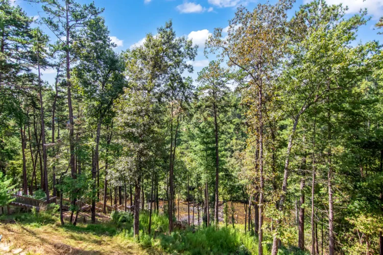 creekside cabin ellijay ga