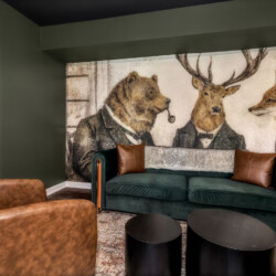 asheville vacation rentals pet friendly
