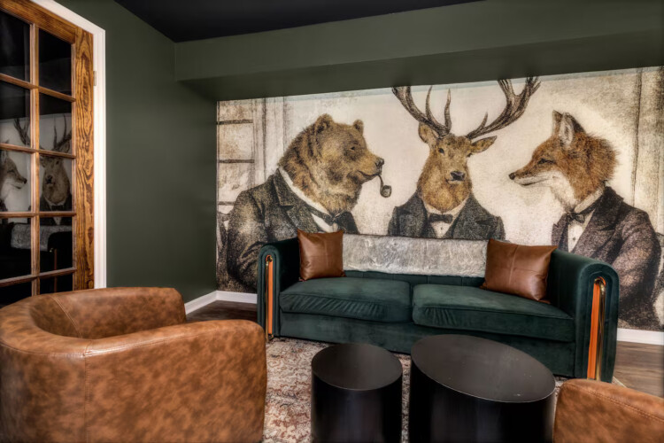 asheville vacation rentals pet friendly