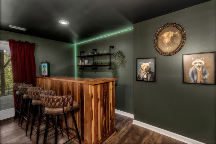 asheville vacation rentals pet friendly