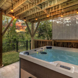 asheville vacation rentals pet friendly