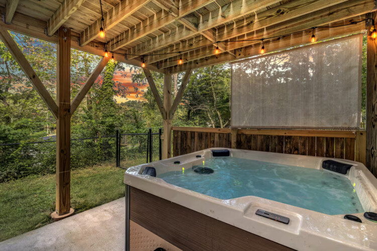 asheville vacation rentals pet friendly