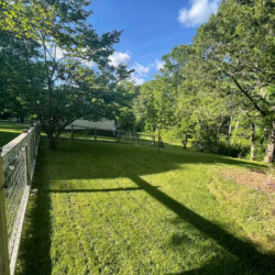 asheville vacation rentals pet friendly