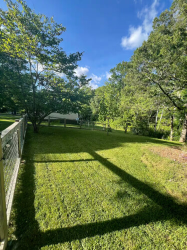 asheville vacation rentals pet friendly