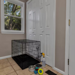 asheville vacation rentals pet friendly