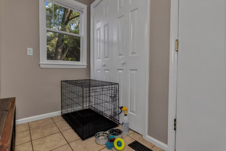 asheville vacation rentals pet friendly