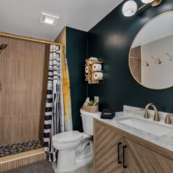 asheville vacation rentals pet friendly