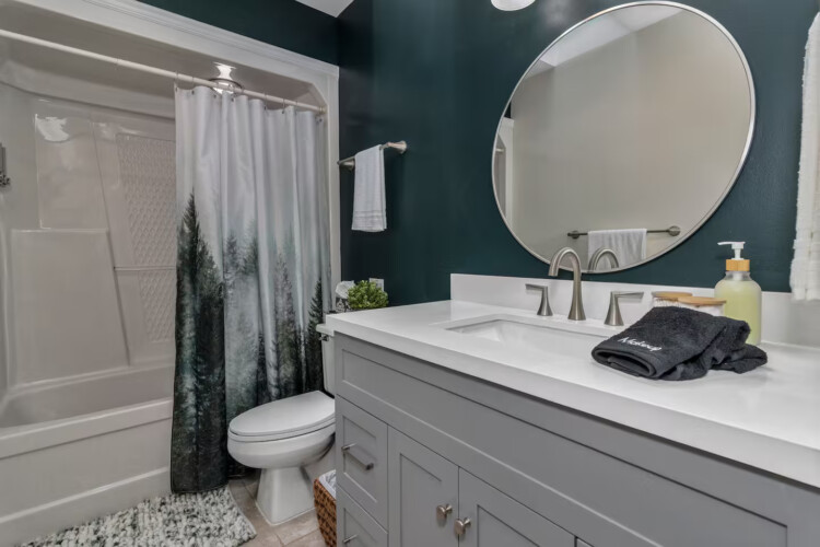 asheville vacation rentals pet friendly
