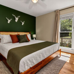 asheville vacation rentals pet friendly