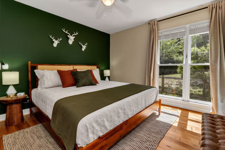 asheville vacation rentals pet friendly
