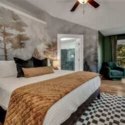 asheville vacation rentals pet friendly