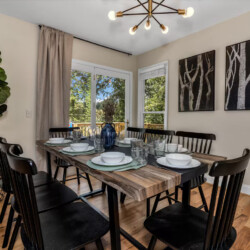 asheville vacation rentals pet friendly