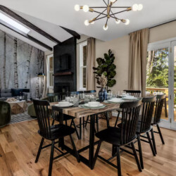 asheville vacation rentals pet friendly