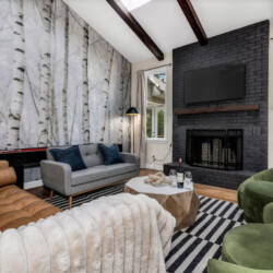 asheville vacation rentals pet friendly
