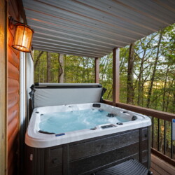 cabin rentals on toccoa river