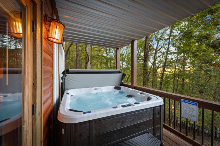 cabin rentals on toccoa river